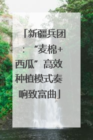 新疆兵团：“麦棉+西瓜”高效种植模式奏响致富曲