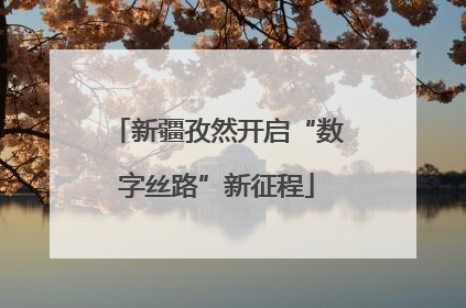 新疆孜然开启“数字丝路”新征程