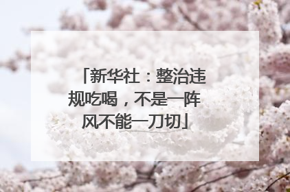 新华社：整治违规吃喝，不是一阵风不能一刀切