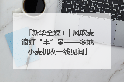 新华全媒+｜风吹麦浪好“丰”景——多地小麦机收一线见闻