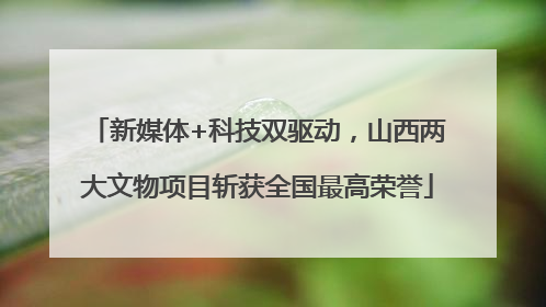 新媒体+科技双驱动，山西两大文物项目斩获全国最高荣誉