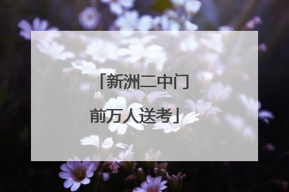 新洲二中门前万人送考