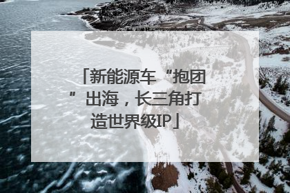 新能源车“抱团”出海，长三角打造世界级IP