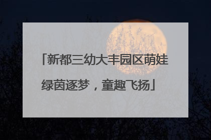 新都三幼大丰园区萌娃绿茵逐梦，童趣飞扬