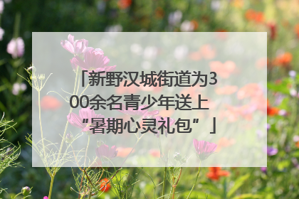 新野汉城街道为300余名青少年送上“暑期心灵礼包”