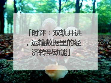 时评：双轨并进，运输数据里的经济转型动能