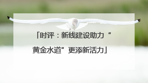 时评：新线建设助力“黄金水道”更添新活力