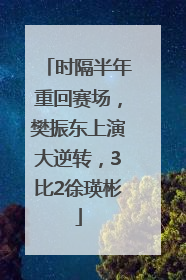 时隔半年重回赛场，樊振东上演大逆转，3比2徐瑛彬