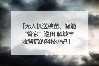 无人机送秧苗、智能“管家”巡田 解锁丰收背后的科技密码