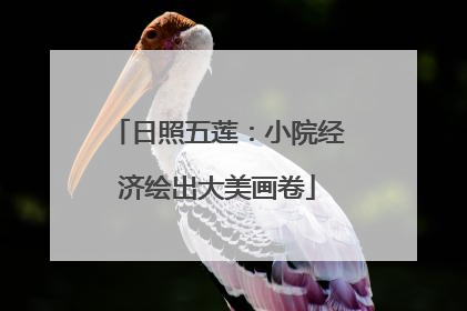 日照五莲：小院经济绘出大美画卷