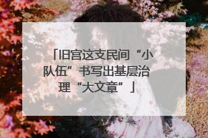 旧宫这支民间“小队伍”书写出基层治理“大文章”