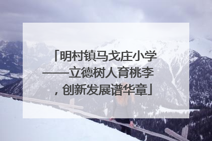 明村镇马戈庄小学——立德树人育桃李，创新发展谱华章