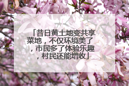 昔日黄土地变共享菜地，不仅环境美了，市民多了体验乐趣，村民还能增收