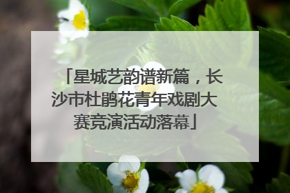 星城艺韵谱新篇，长沙市杜鹃花青年戏剧大赛竞演活动落幕