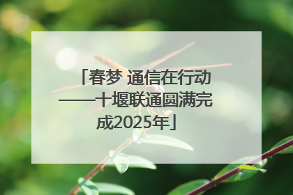 春梦 通信在行动——十堰联通圆满完成2025年