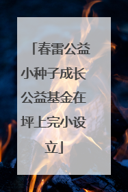 春雷公益小种子成长公益基金在坪上完小设立