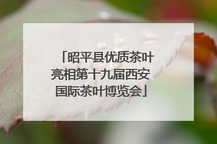 昭平县优质茶叶亮相第十九届西安国际茶叶博览会