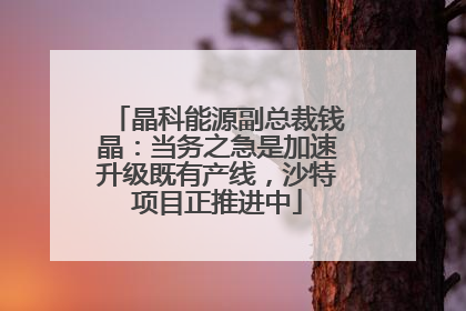 晶科能源副总裁钱晶：当务之急是加速升级既有产线，沙特项目正推进中