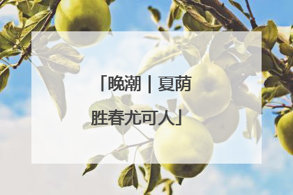晚潮｜夏荫胜春尤可人