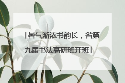 暑气渐浓书韵长，省第九届书法高研班开班