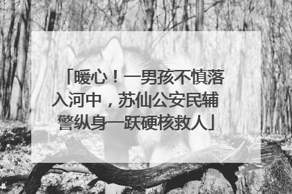 暖心！一男孩不慎落入河中，苏仙公安民辅警纵身一跃硬核救人