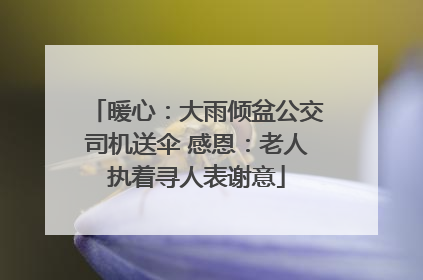 暖心：大雨倾盆公交司机送伞 感恩：老人执着寻人表谢意