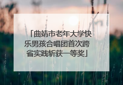 曲靖市老年大学快乐男孩合唱团首次跨省实践斩获一等奖