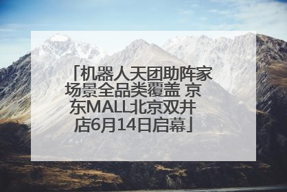机器人天团助阵家场景全品类覆盖 京东MALL北京双井店6月14日启幕