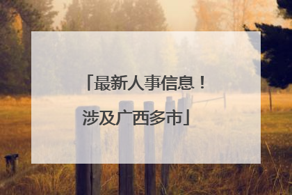 最新人事信息！涉及广西多市