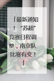 最新通知！“苏超”竞赛日程调整，南京队比赛有变！