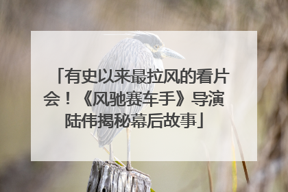 有史以来最拉风的看片会！《风驰赛车手》导演陆伟揭秘幕后故事