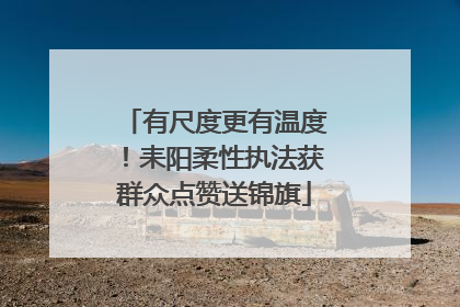 有尺度更有温度！耒阳柔性执法获群众点赞送锦旗