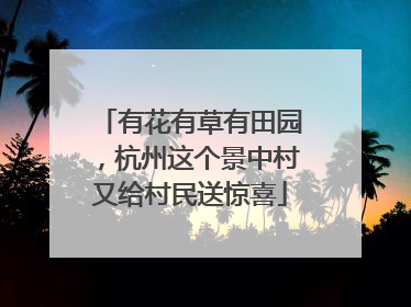 有花有草有田园，杭州这个景中村又给村民送惊喜