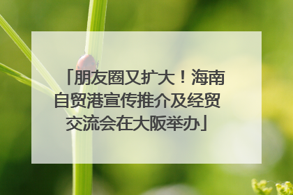 朋友圈又扩大！海南自贸港宣传推介及经贸交流会在大阪举办