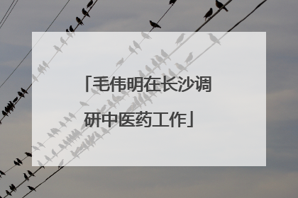 毛伟明在长沙调研中医药工作
