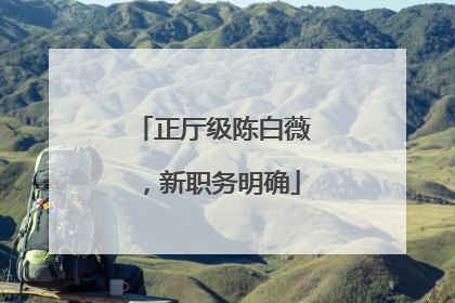 正厅级陈白薇，新职务明确