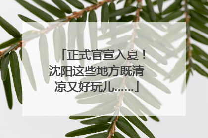 正式官宣入夏！沈阳这些地方既清凉又好玩儿……