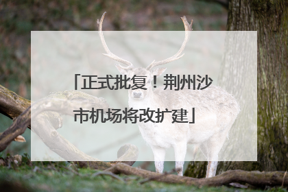 正式批复！荆州沙市机场将改扩建