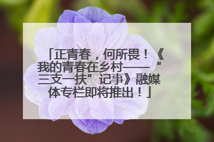 正青春，何所畏！《我的青春在乡村——“三支一扶”记事》融媒体专栏即将推出！