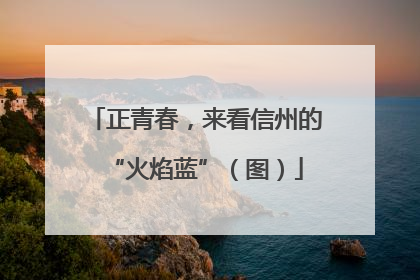 正青春，来看信州的“火焰蓝”（图）