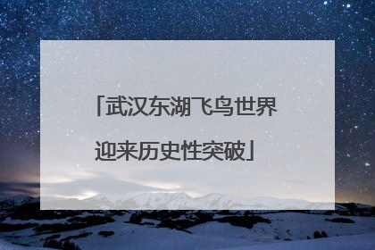 武汉东湖飞鸟世界迎来历史性突破