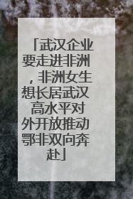 武汉企业要走进非洲，非洲女生想长居武汉 高水平对外开放推动鄂非双向奔赴