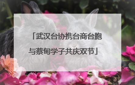 武汉台协携台商台胞与蔡甸学子共庆双节