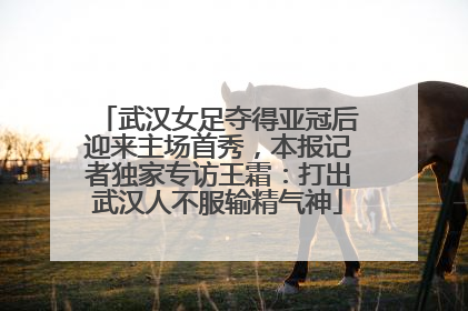 武汉女足夺得亚冠后迎来主场首秀，本报记者独家专访王霜：打出武汉人不服输精气神