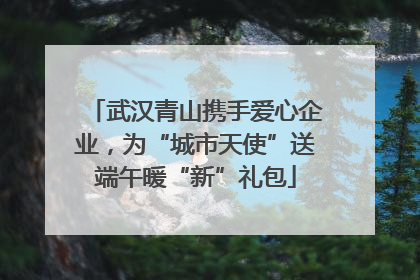 武汉青山携手爱心企业，为“城市天使”送端午暖“新”礼包