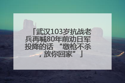 武汉103岁抗战老兵再喊80年前劝日军投降的话 “缴枪不杀，放你回家”