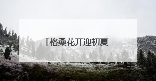 格桑花开迎初夏 “彩虹公路”绘锦绣 德兴以生态之笔绘就宜居幸福图景