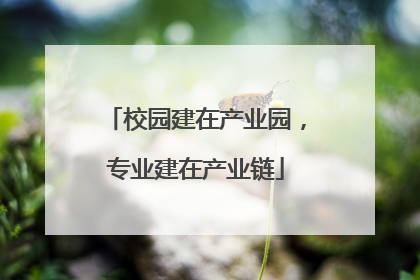 校园建在产业园，专业建在产业链