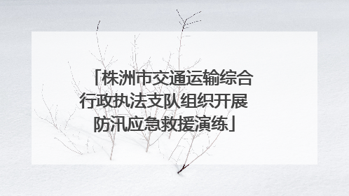 株洲市交通运输综合行政执法支队组织开展防汛应急救援演练