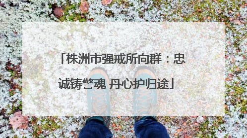株洲市强戒所向群：忠诚铸警魂 丹心护归途